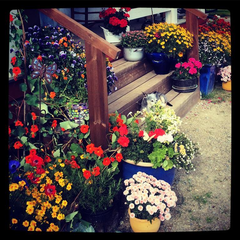 Ellis Garden Guest House Vemhån Екстериор снимка